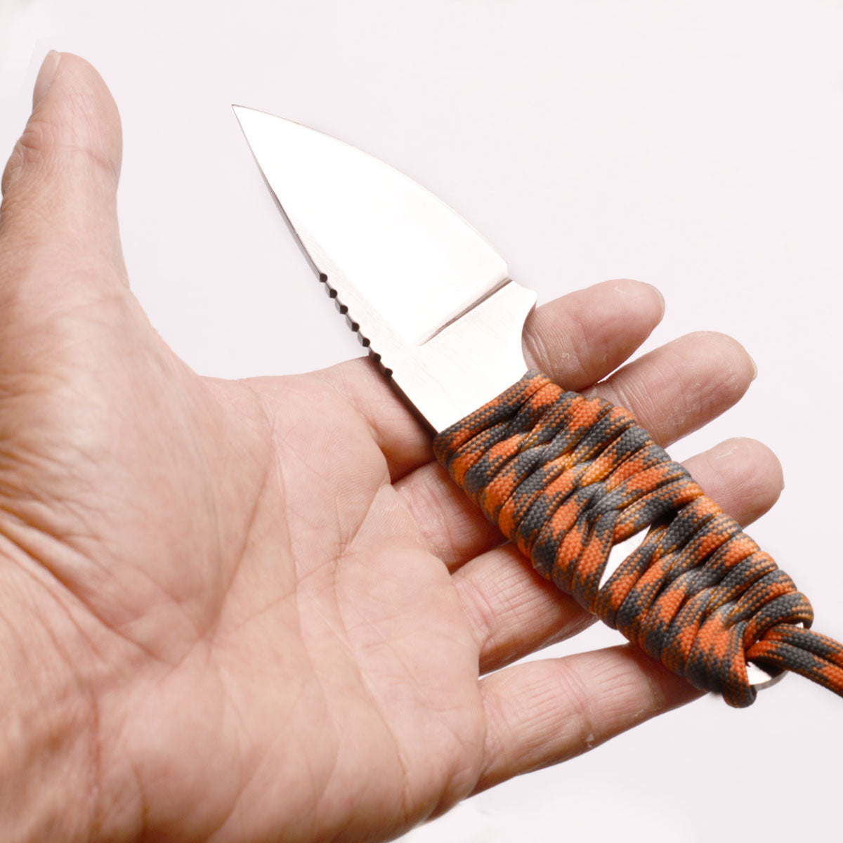 Gecko ( Sold Out ) image 2