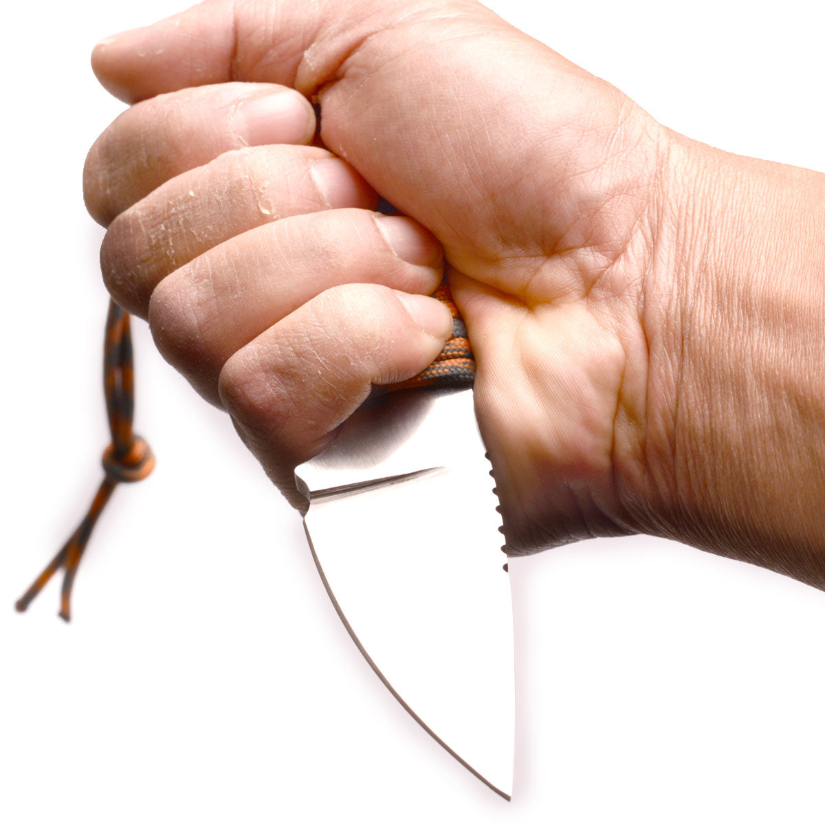 Gecko ( Sold Out ) image 3