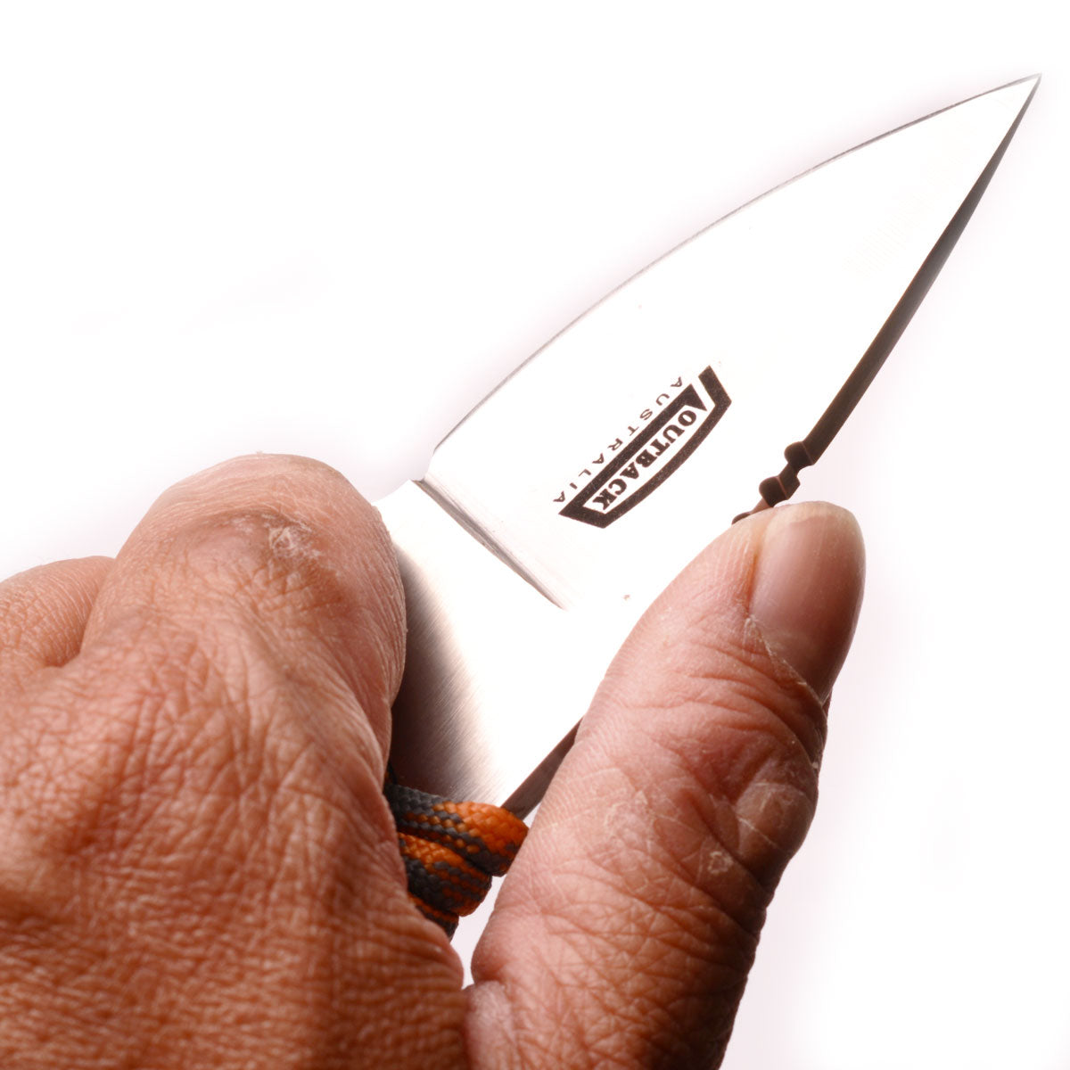 Gecko ( Sold Out ) image 1